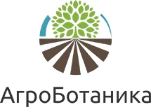 Отзыв АгроБотаника о веб-студии Team-B