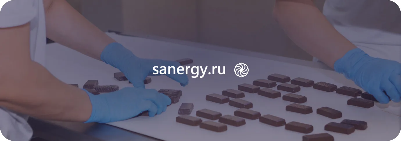 Интернет-магазин «Sanergy»