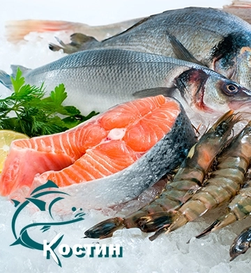 Компания «Костин»